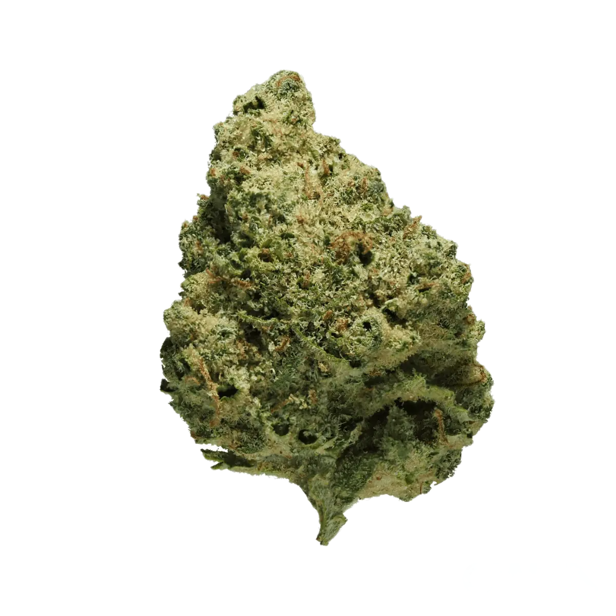 Cannamedical CM 20/1 CRM Creamy Kees No.5